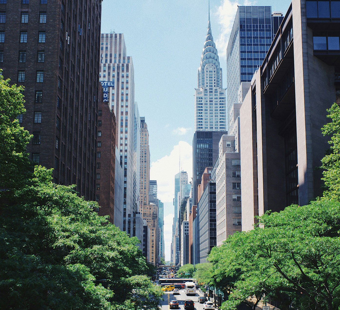 Street level view of New York City framed by trees