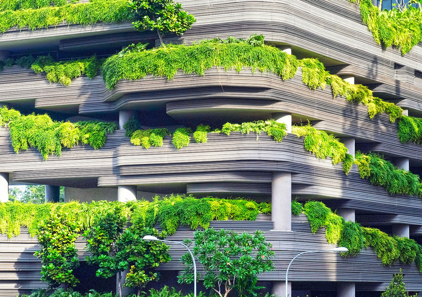 Photo of plants mingling with a multi-level building