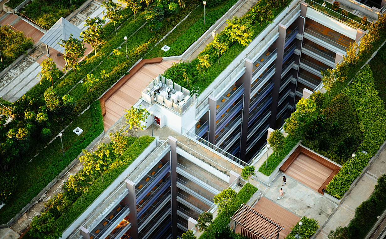 View of rooftop gardens in a city