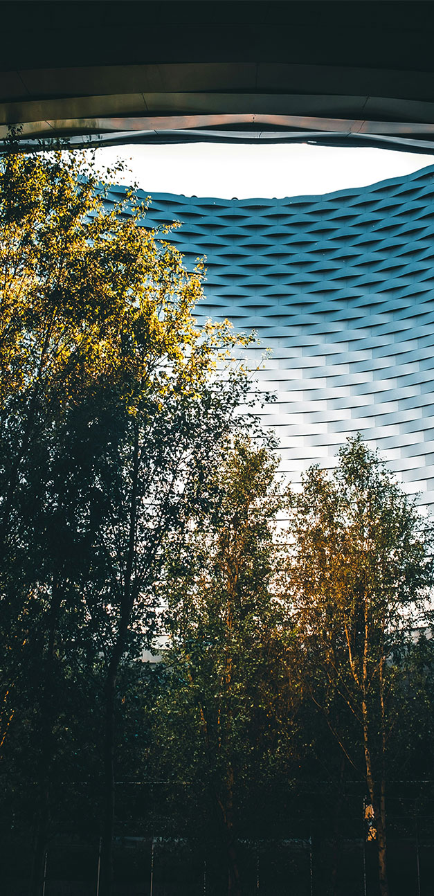 View of trees growing inside of a building